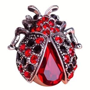NEW Elegant Little Red Rudy Onyx Ladybug Brooch Pin Cute Shiny Sparkling Gift